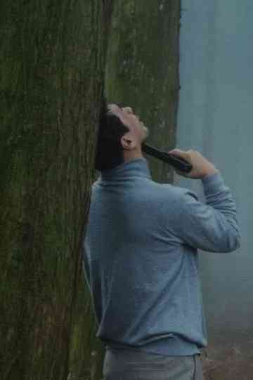 Man In The Fog Poster