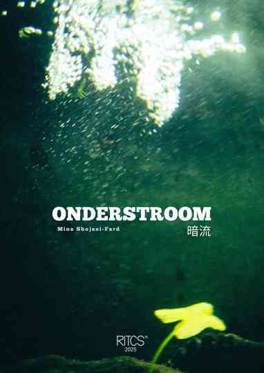 Undercurrent - 暗流 Poster