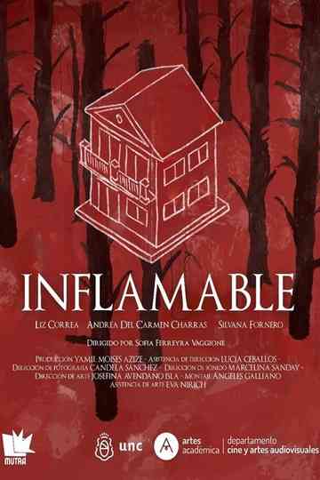 Inflamable Poster