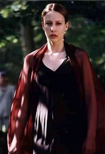 The Butterfly Dance Poster