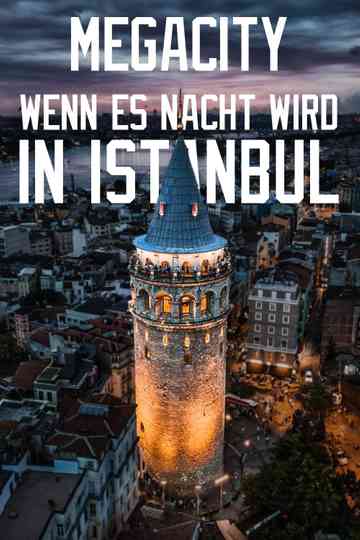 Megacity: When Night Falls in Istanbul Poster