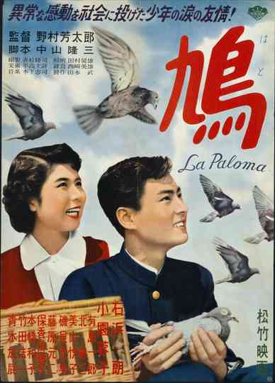 The Pigeon Poster