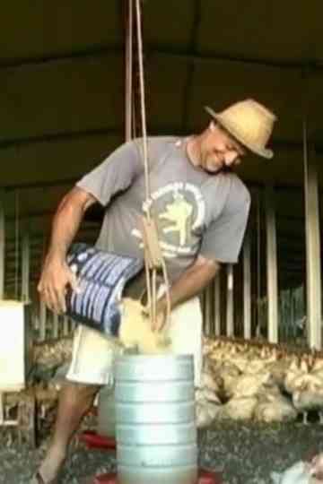 Do Canto ao Pio Poster