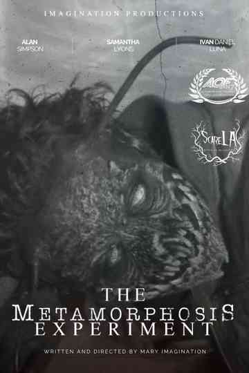 The Metamorphosis Experiment Poster