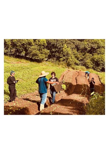 Tuesdays, Saturdays, Sundays