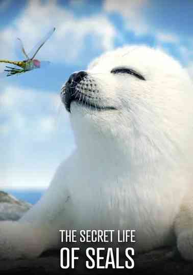 The Secret Life of Seals poster