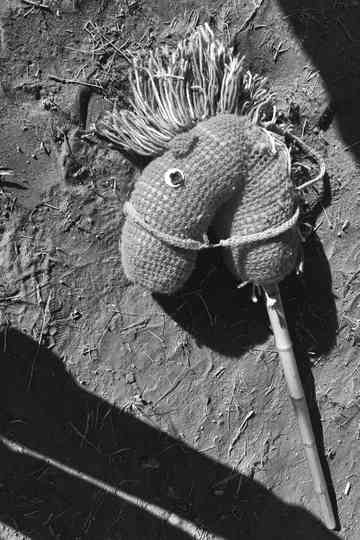 These Lands Are Not For Sale Poster