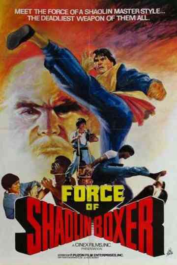 Force of the Shaolin Boxer poster
