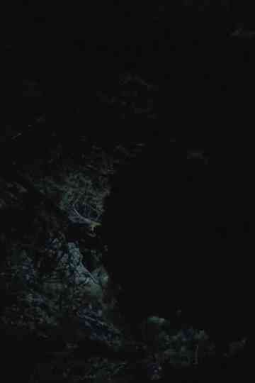 All the Planets in My Heart Poster