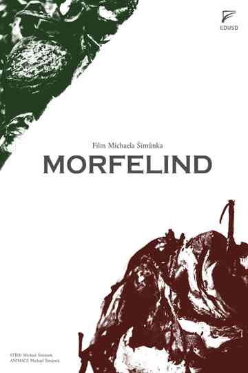 MORFELIND Poster