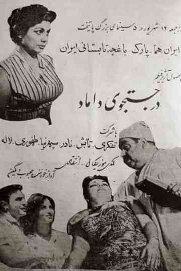 Looking for a Groom Poster