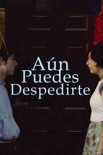 Aún puedes despedirte Poster