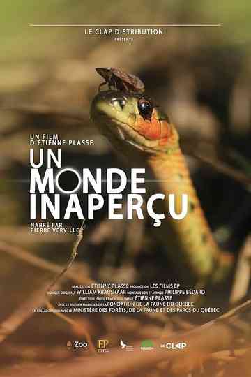 Un monde inaperçu Poster