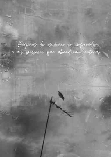 Pages of comtempt of the emperor and the birds that abandon antennas Poster