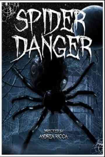 Spider Danger Poster