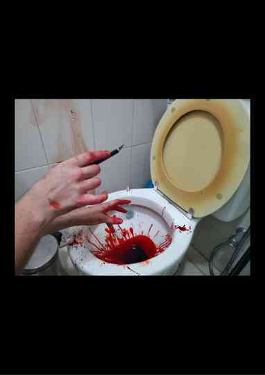 Origami vulva TUTORIAL Poster