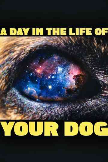 A Day In The Life Of Your Dog Poster