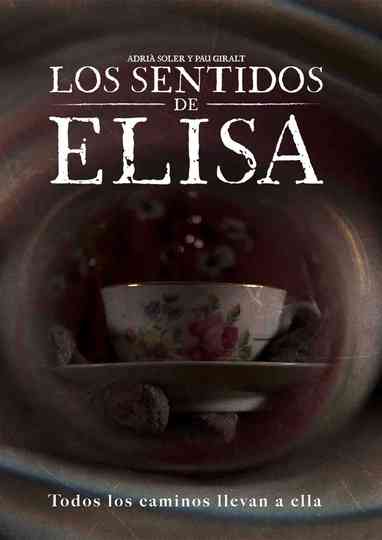 Los Sentidos de Elisa Poster