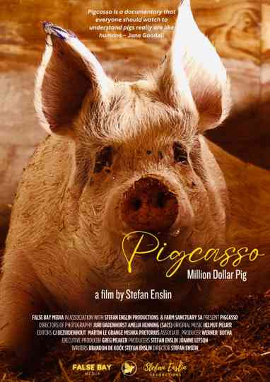 Pigcasso: Million Dollar Pig Poster