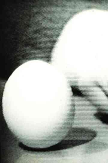 Statics of an Egg Poster