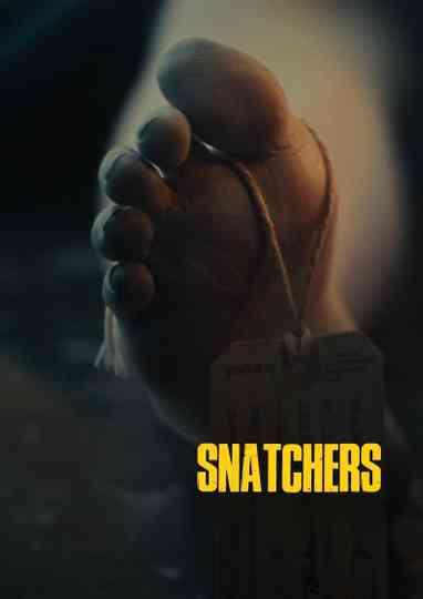 Snatchers Poster