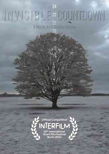 Invisible Countdown Poster