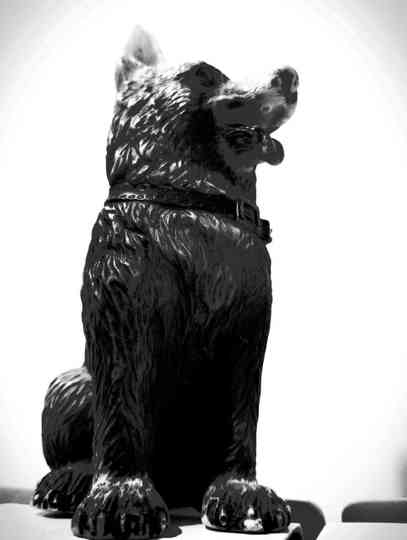 The Dog of Sarandi Alley Poster