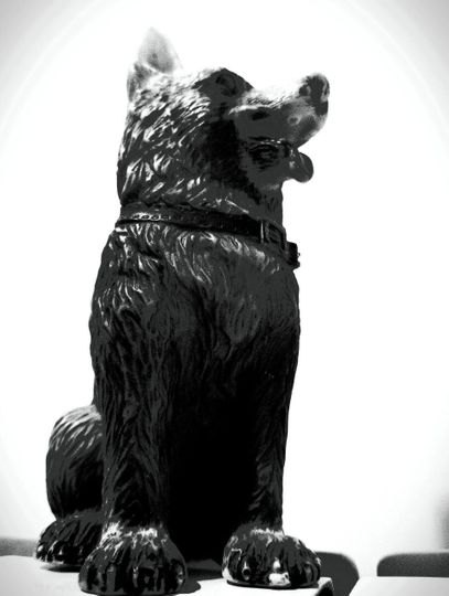 The Dog of Sarandi Alley