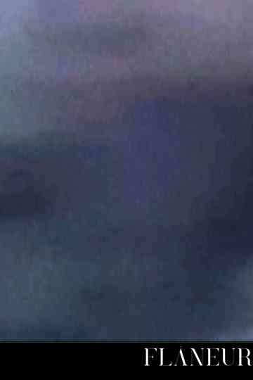 Flâneur Poster