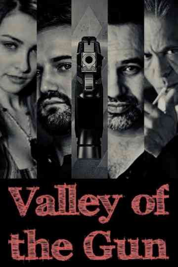 Valley of the Gun 2020 Poster