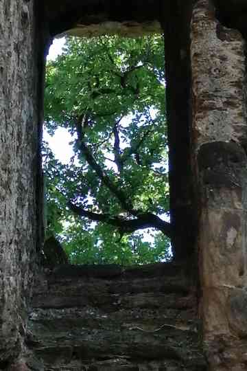 The Ruins of Seyssuel's Castle Poster