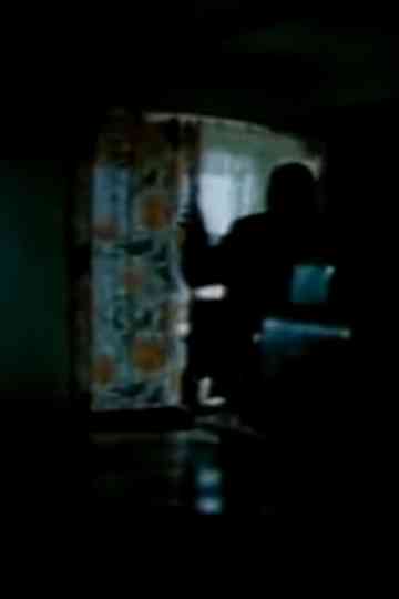 Przypadek Hermana Palacza Poster