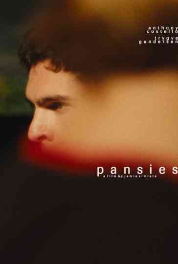 pansies Poster