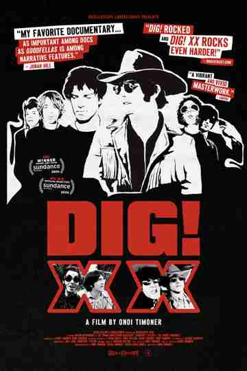 DIG! XX Poster