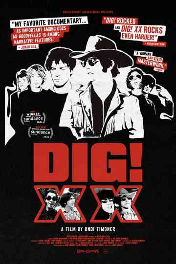 DIG! XX Poster