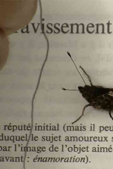 Love on the Bramble Path Poster