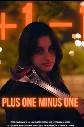 Plus One Minus One (+1 -1) Poster