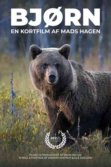 Bjørn Poster