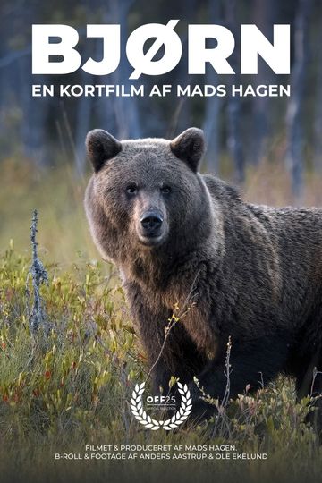 Bjørn