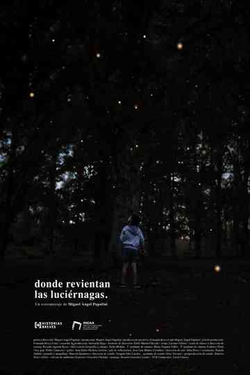 Where the fireflies burst Poster