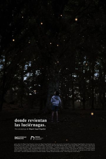 Where the fireflies burst