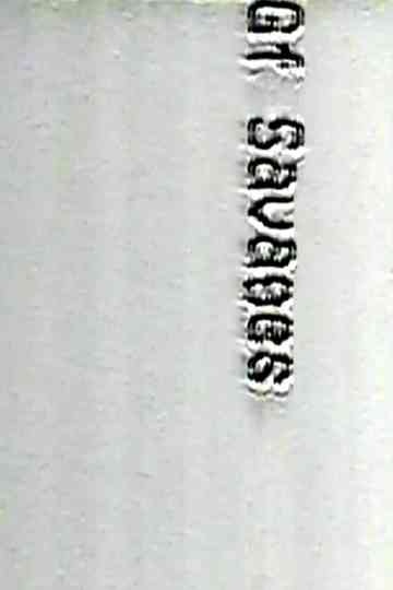 The New McLennium Program Two Poster