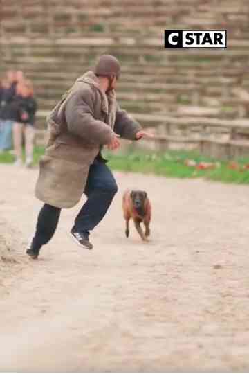 Les héros du Puy du Fou - Les animaux, superstars des spectacles Poster