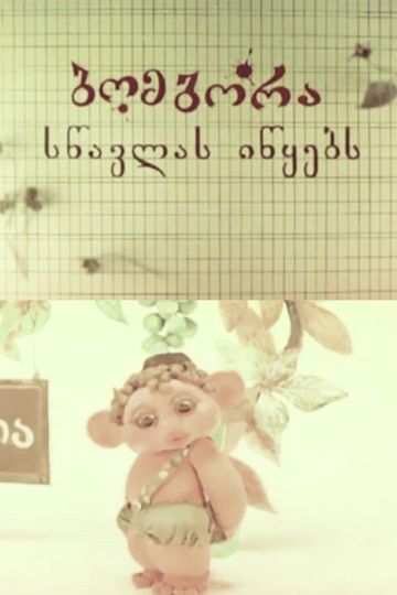 Bombora Begins to Study