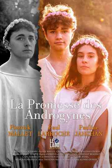 La Promesse des Androgynes Poster