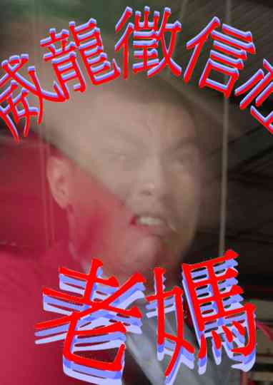 WayLong PI Agency: LaoMa Poster