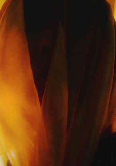 the House of Horror Poster