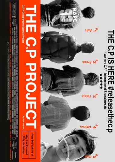 The CsP Project Poster