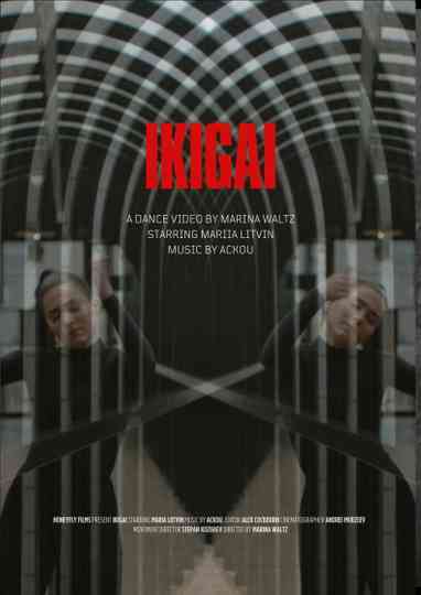 Ikigai Poster