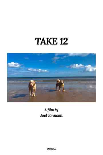 Take 12 Poster